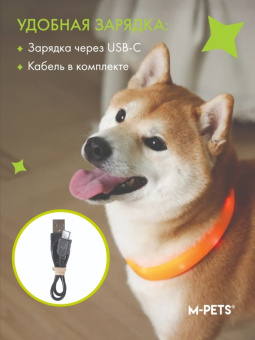 Светящийся ошейник FLASH LED, S, 1 x 35 см, оранжевый MPets 10855499-3