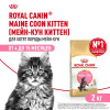 Роял Канин сухой корм для котят Киттен Мейн кун 2кг/СКИДКА НЕ ПРОИЗВОДИТСЯ!