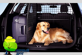 Как накажут водителя за неправильную перевозку животного Как накажут водителя за неправильную перевозку животного