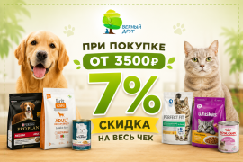 Скидка 7% на весь чек при покупке от 3 500 ₽