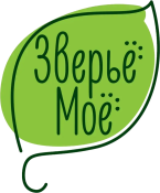 ЗВЕРЬЁ МОЁ