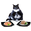 ВЛАЖНЫЙ КОРМ ДЛЯ КОШЕК