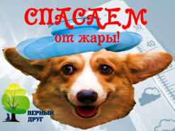 Что поможет нам в жару?