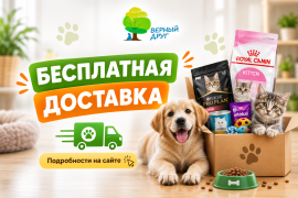 Бесплатная доставка