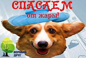 Что поможет нам в жару? Что поможет нам в жару?