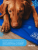 M-PETS Коврик охлаждающий FROZEN, размер L, 90х50 см_3