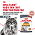 Роял Канин пауч для кошек Хэйр энд Скин в соусе 0,085кг/СКИДКА НЕ ПРОИЗВОДИТСЯ