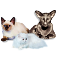 КОШКИ