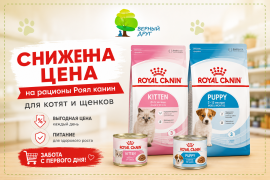 Сниженные цены на сухие корма Royal Canin для котят и щенков