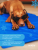 M-PETS Коврик охлаждающий FROZEN, размер L, 90х50 см_5
