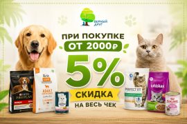 Скидка 5% на весь чек при покупке от 2 000 ₽