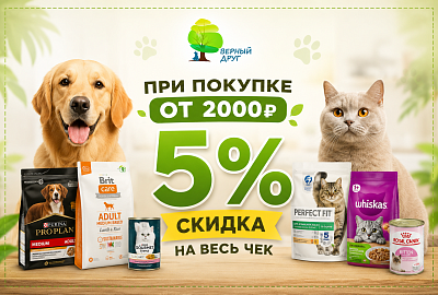 Скидка 5% на весь чек при покупке от 2 000 ₽