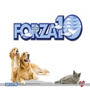 НОВИНКА!FORZA 10